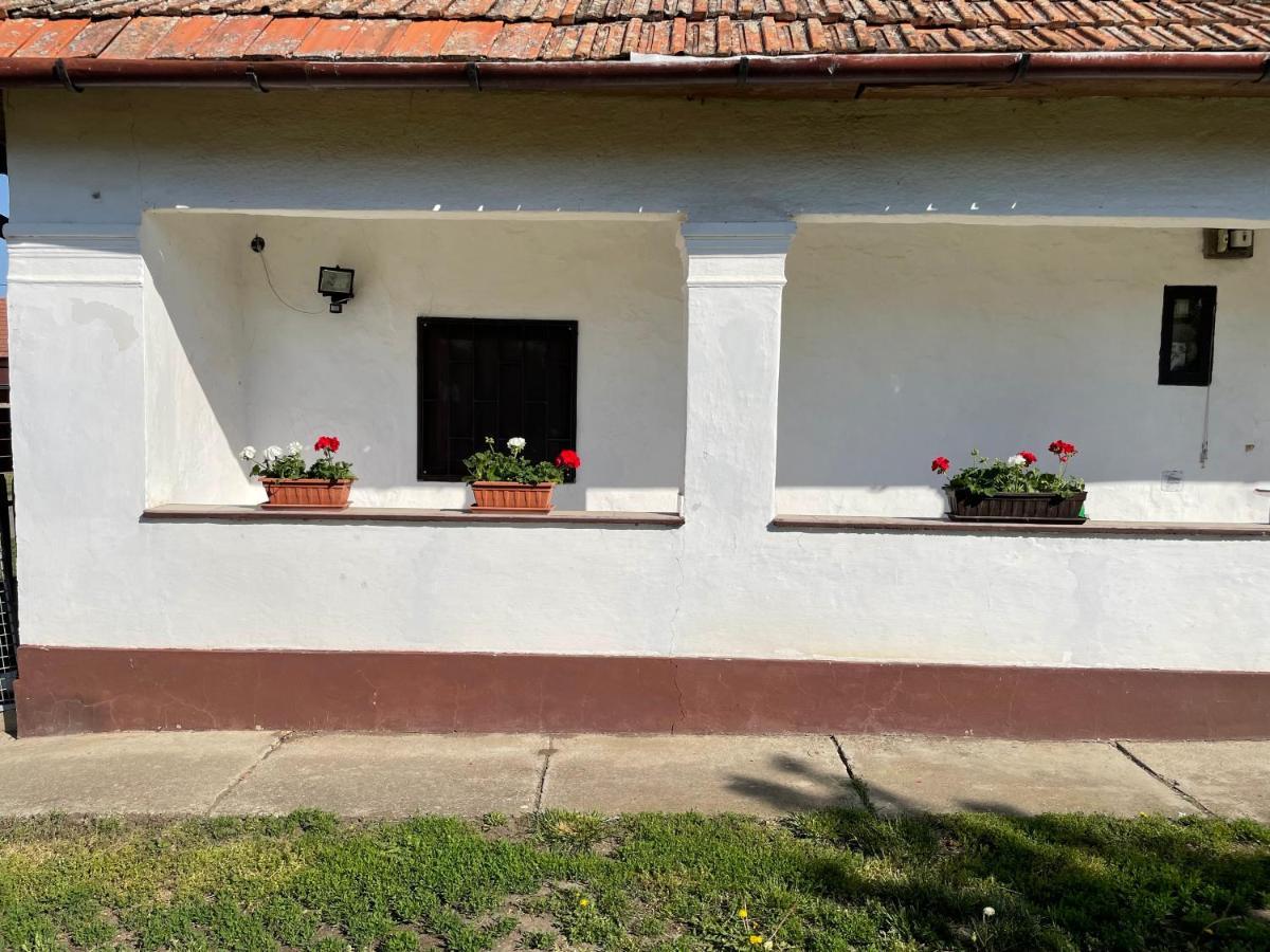 Poroszló Zsuzsa Apartman 아파트 외부 사진